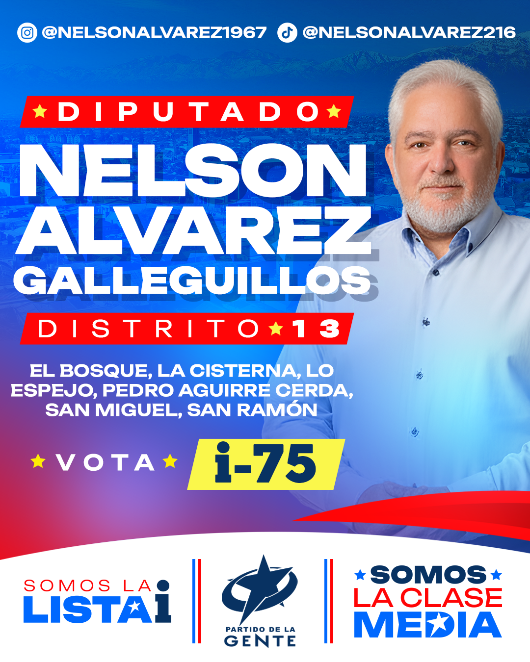 NELSON ALVAREZ GALLEGUILLOS