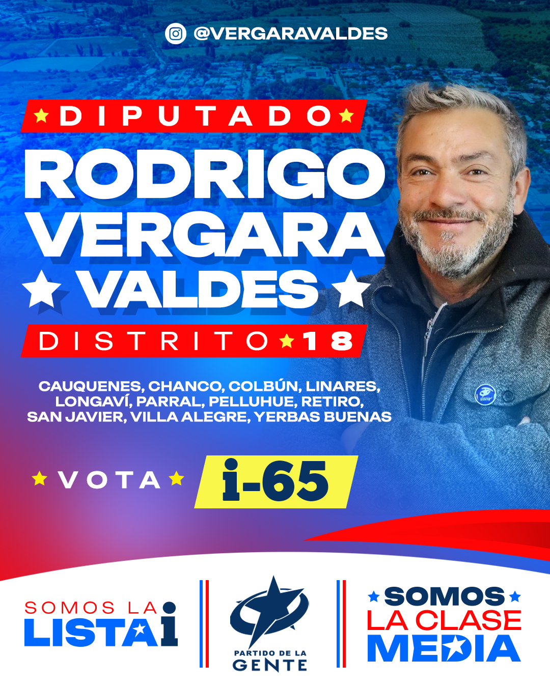 RODRIGO VERGARA VALDES